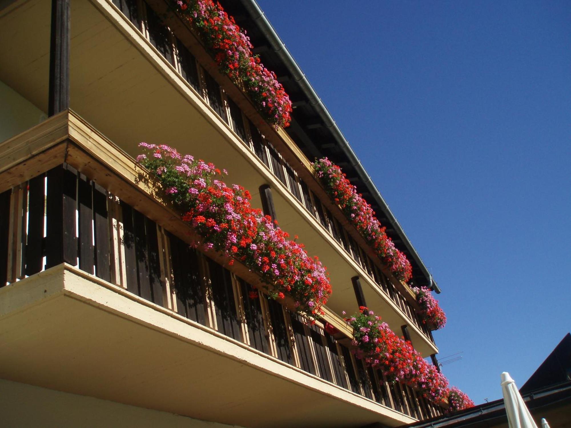 Laerchenhof Hotel Sankt Jakob in Defereggen Buitenkant foto